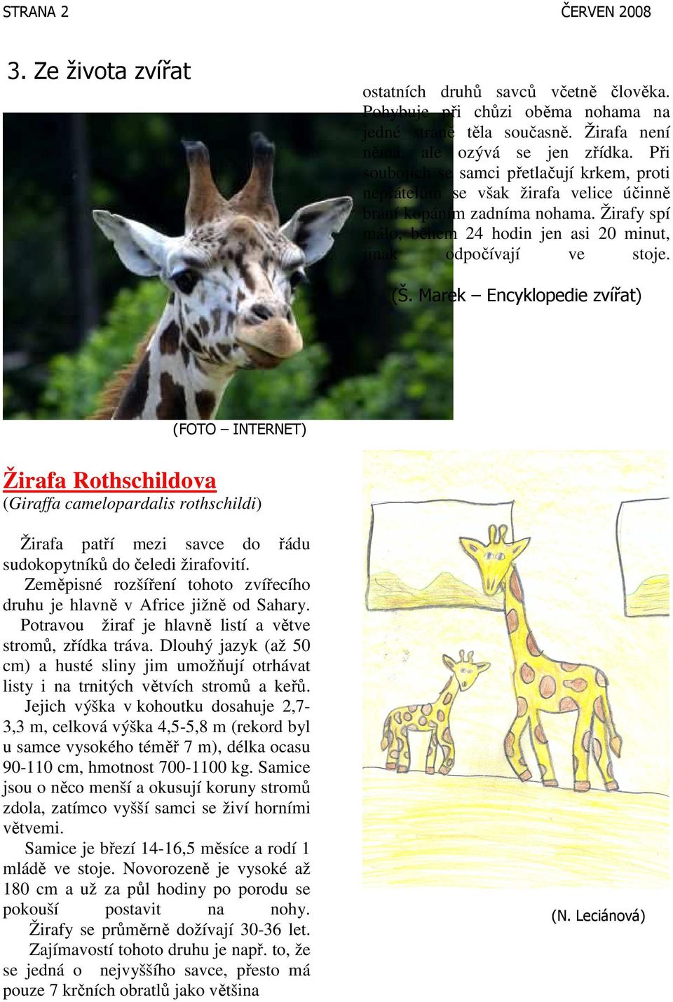 Marek Encyklopedie zvířat) (FOTO INTERNET) Žirafa Rothschildova (Giraffa camelopardalis rothschildi) Žirafa patří mezi savce do řádu sudokopytníků do čeledi žirafovití.