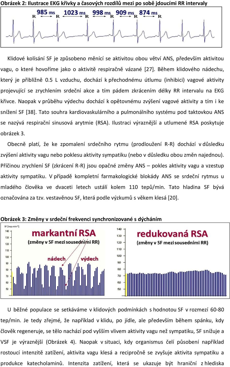 5 L vzduchu, dochází k přechodnému útlumu (inhibici) vagové aktivity projevující se zrychlením srdeční akce a tím pádem zkrácením délky RR intervalu na EKG křivce.