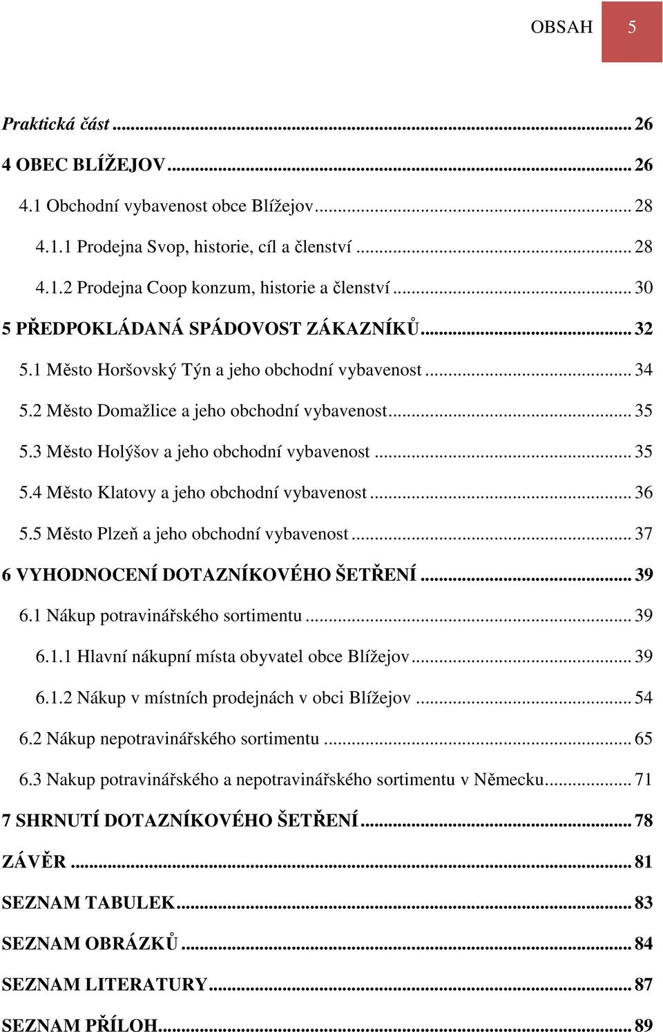 3 Město Holýšov a jeho obchodní vybavenost... 35 5.4 Město Klatovy a jeho obchodní vybavenost... 36 5.5 Město Plzeň a jeho obchodní vybavenost... 37 6 VYHODNOCENÍ DOTAZNÍKOVÉHO ŠETŘENÍ... 39 6.