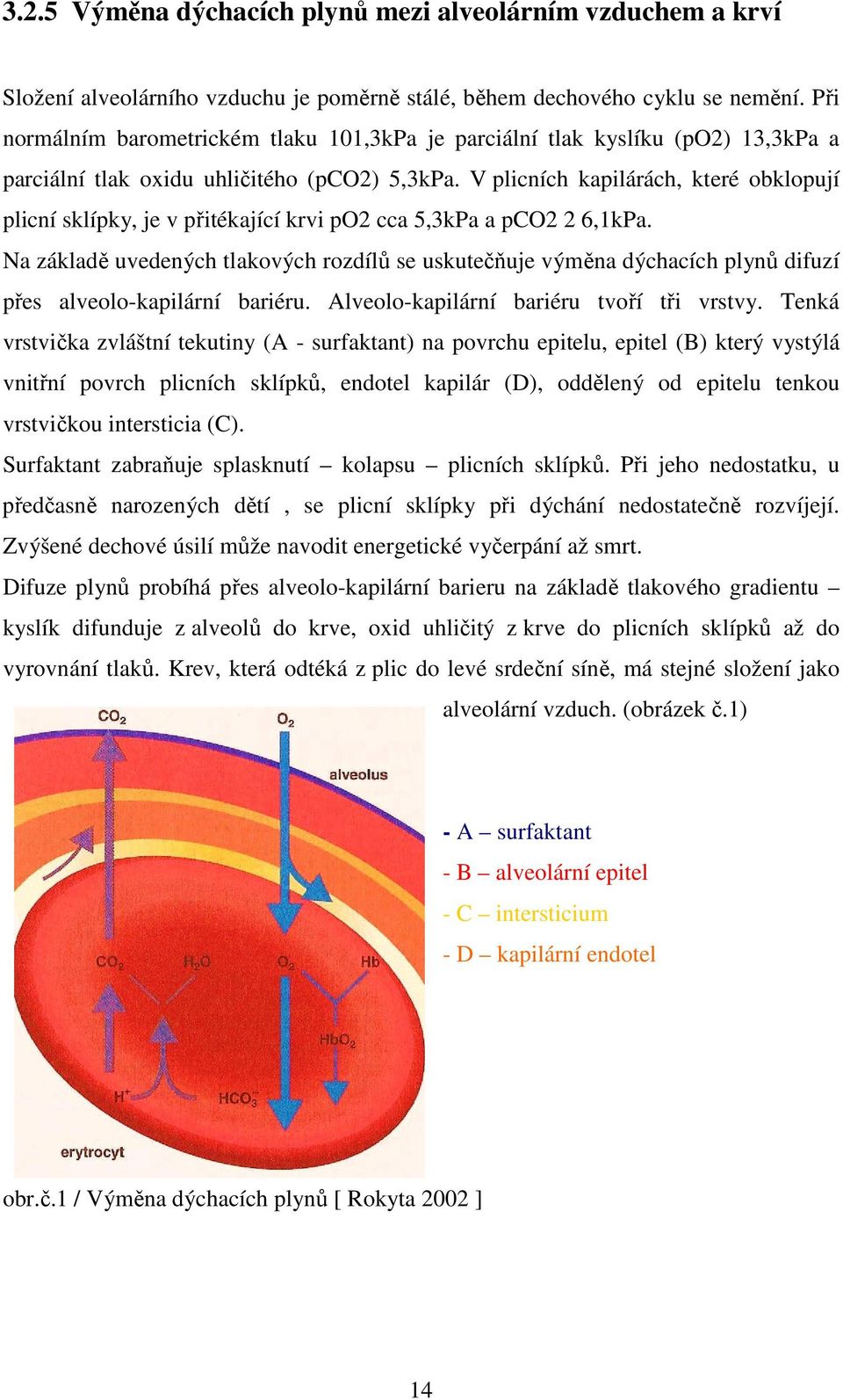 V plicních kapilárách, které obklopují plicní sklípky, je v přitékající krvi po2 cca 5,3kPa a pco2 2 6,1kPa.