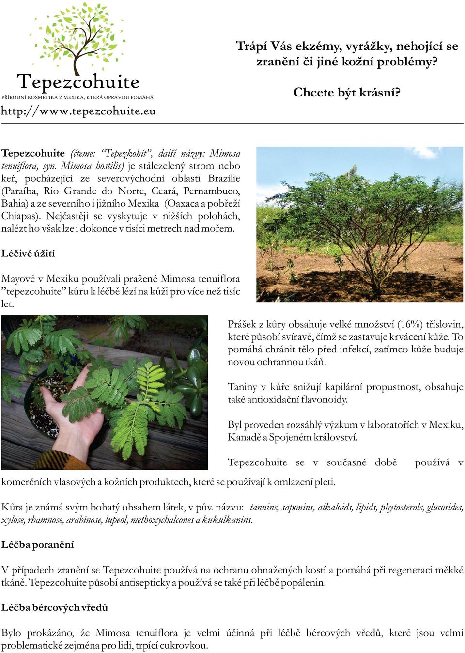 Mimosa hostilis) je stálezelený strom nebo keř, pocházející ze severovýchodní oblasti Brazílie (Paraíba, Rio Grande do Norte, Ceará, Pernambuco, Bahia) a ze severního i jižního Mexika (Oaxaca a