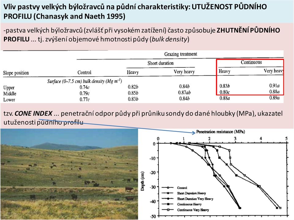 ZHUTNĚNÍ PŮDNÍHO PROFILU... tj. zvýšení objemové hmotnosti půdy (bulk density) tzv. CONE INDEX.