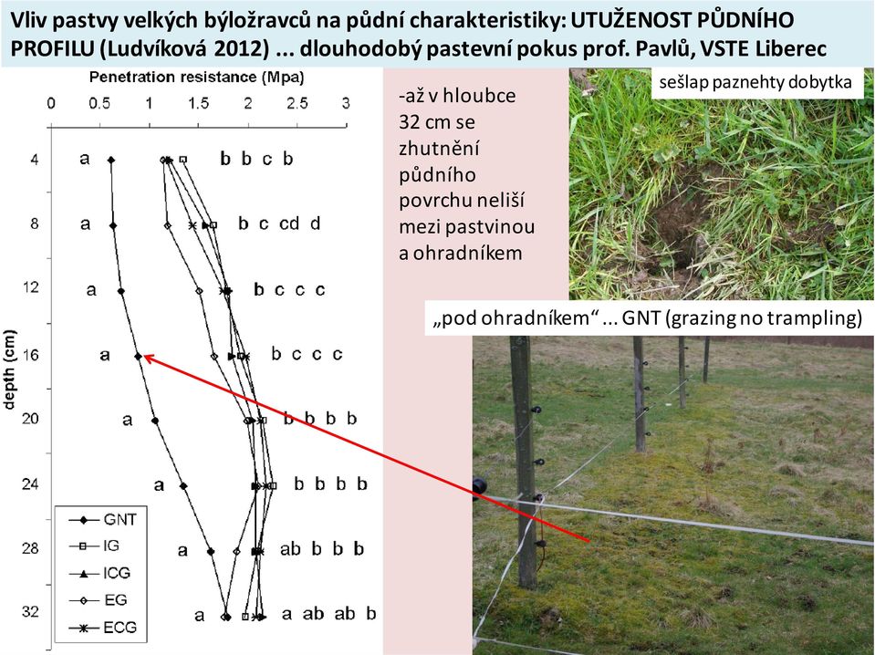 Pavlů, VSTE Liberec až v hloubce 32 cm se zhutnění půdního povrchu neliší