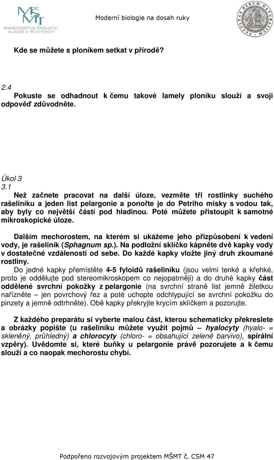 Poté můžete přistoupit k samotné mikroskopické úloze. Dalším mechorostem, na kterém si ukážeme jeho přizpůsobení k vedení vody, je rašeliník (Sphagnum sp.).