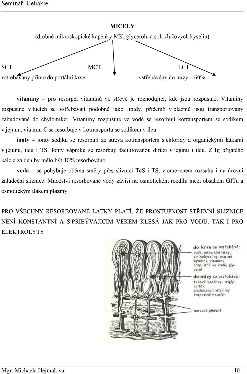 Vitaminy rozpustné ve vodě se resorbují kotransportem se sodíkem v jejunu, vitamin C se resorbuje v kotransportu se sodíkem v ileu.