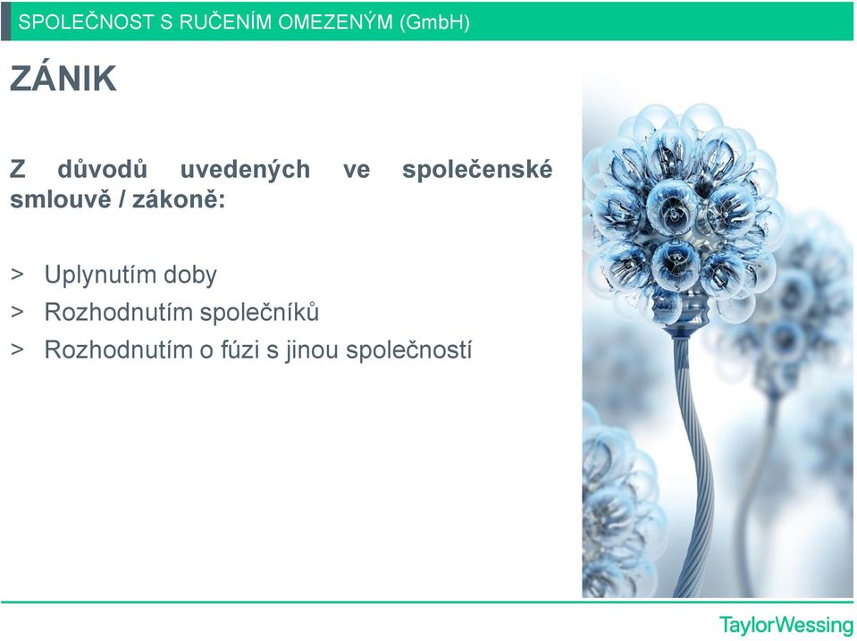 zákoně: > Uplynutím doby > Rozhodnutím