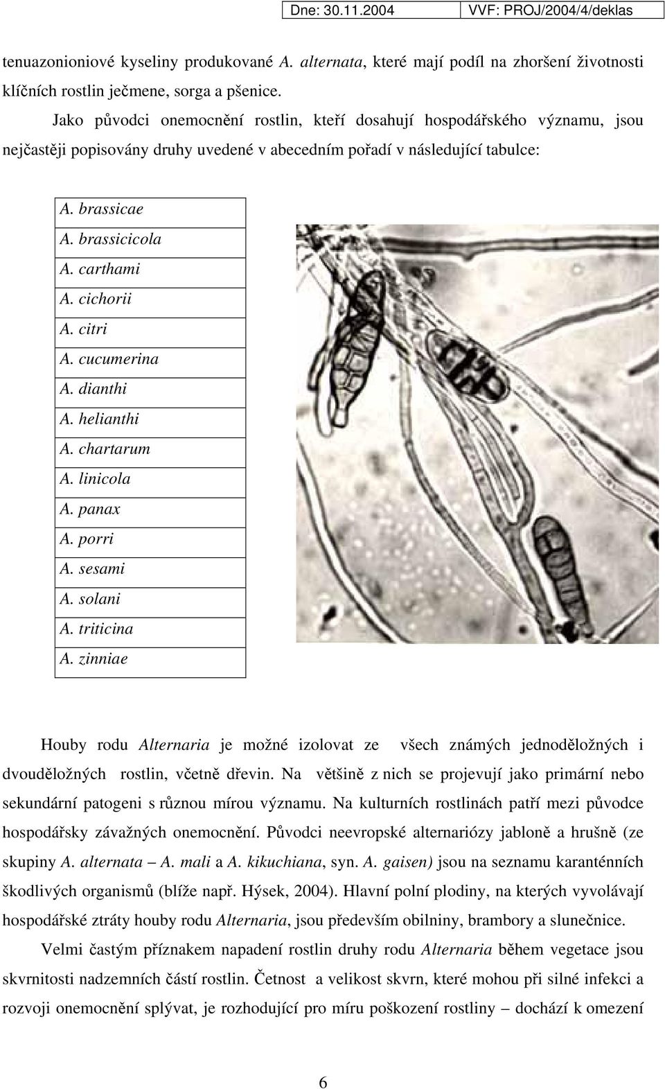 cichorii A. citri A. cucumerina A. dianthi A. helianthi A. chartarum A. linicola A. panax A. porri A. sesami A. solani A. triticina A.