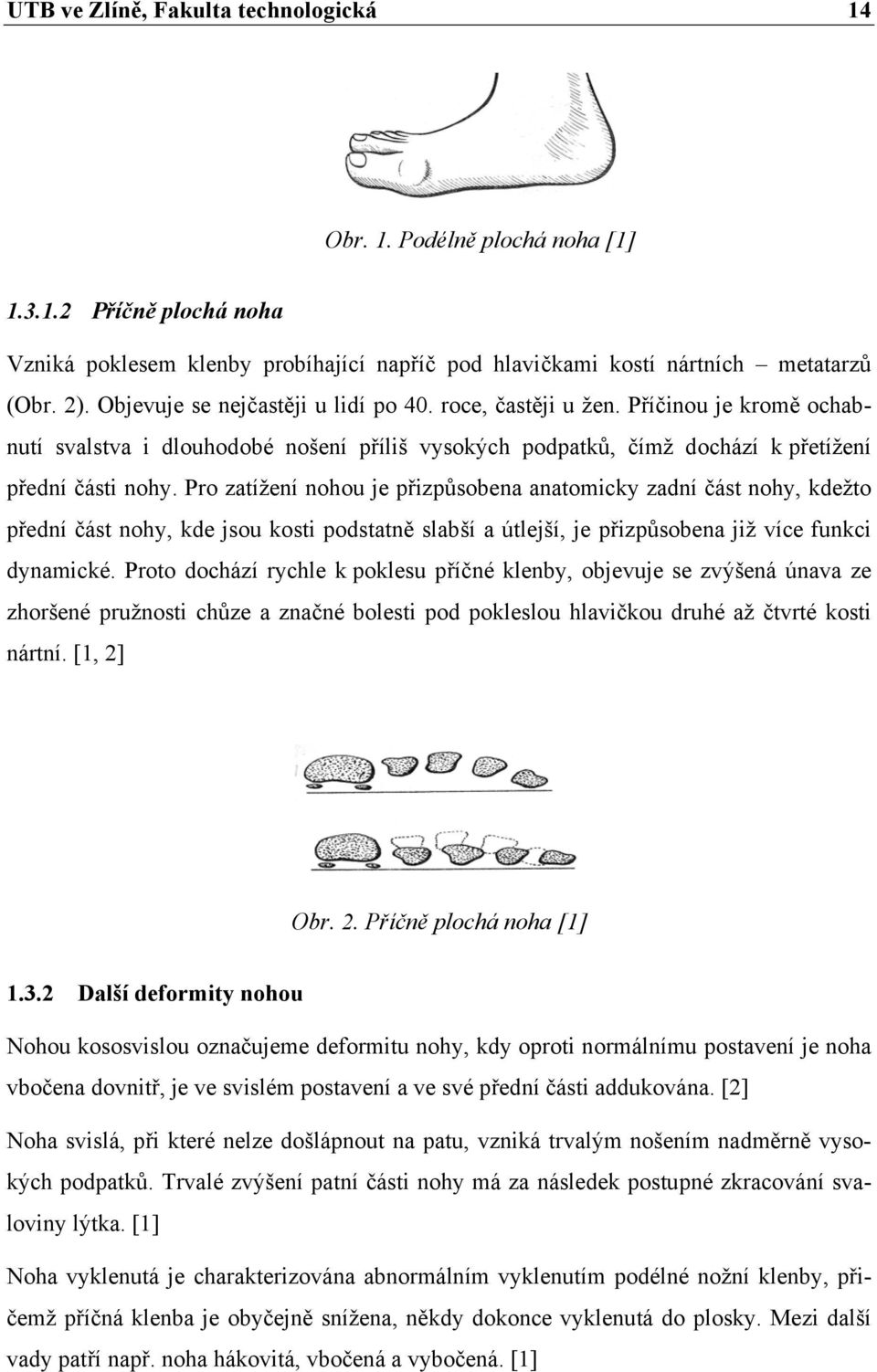 Pro zatížení nohou je přizpůsobena anatomicky zadní část nohy, kdežto přední část nohy, kde jsou kosti podstatně slabší a útlejší, je přizpůsobena již více funkci dynamické.