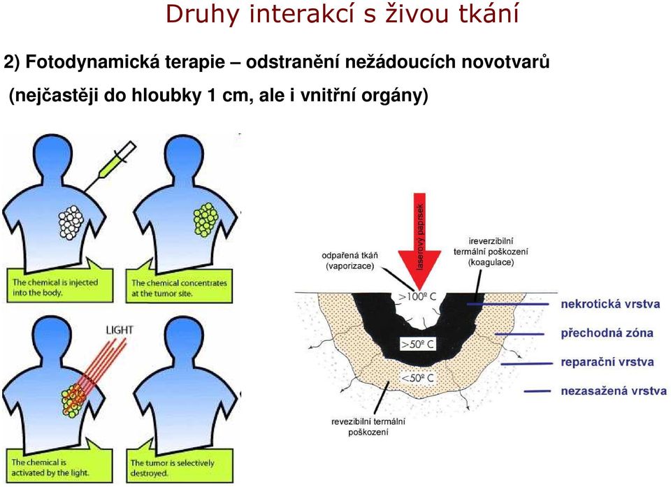 nežádoucích novotvarů (nejčastěji