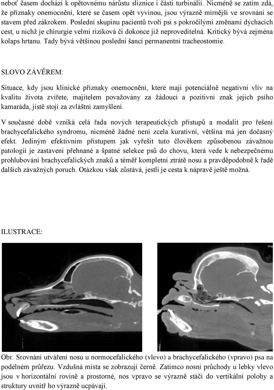 Poslední skupinu pacientů tvoří psi s pokročilými změnami dýchacích cest, u nichž je chirurgie velmi riziková či dokonce již neproveditelná. Kritický bývá zejména kolaps hrtanu.