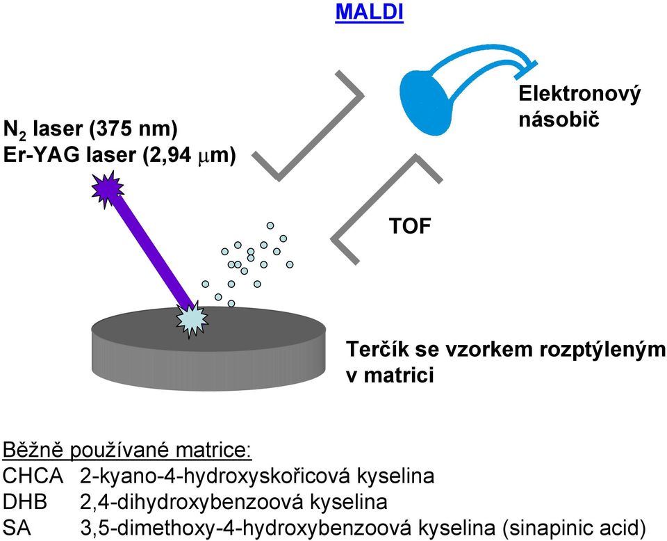 CHCA 2-kyano-4-hydroxyskořicová kyselina DHB 2,4-dihydroxybenzoová