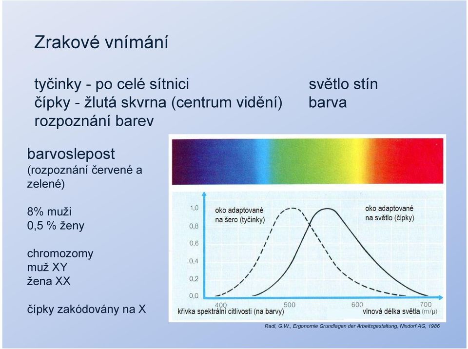 červené a zelené) 8% muži 0,5 % ženy chromozomy muž XY žena XX čípky