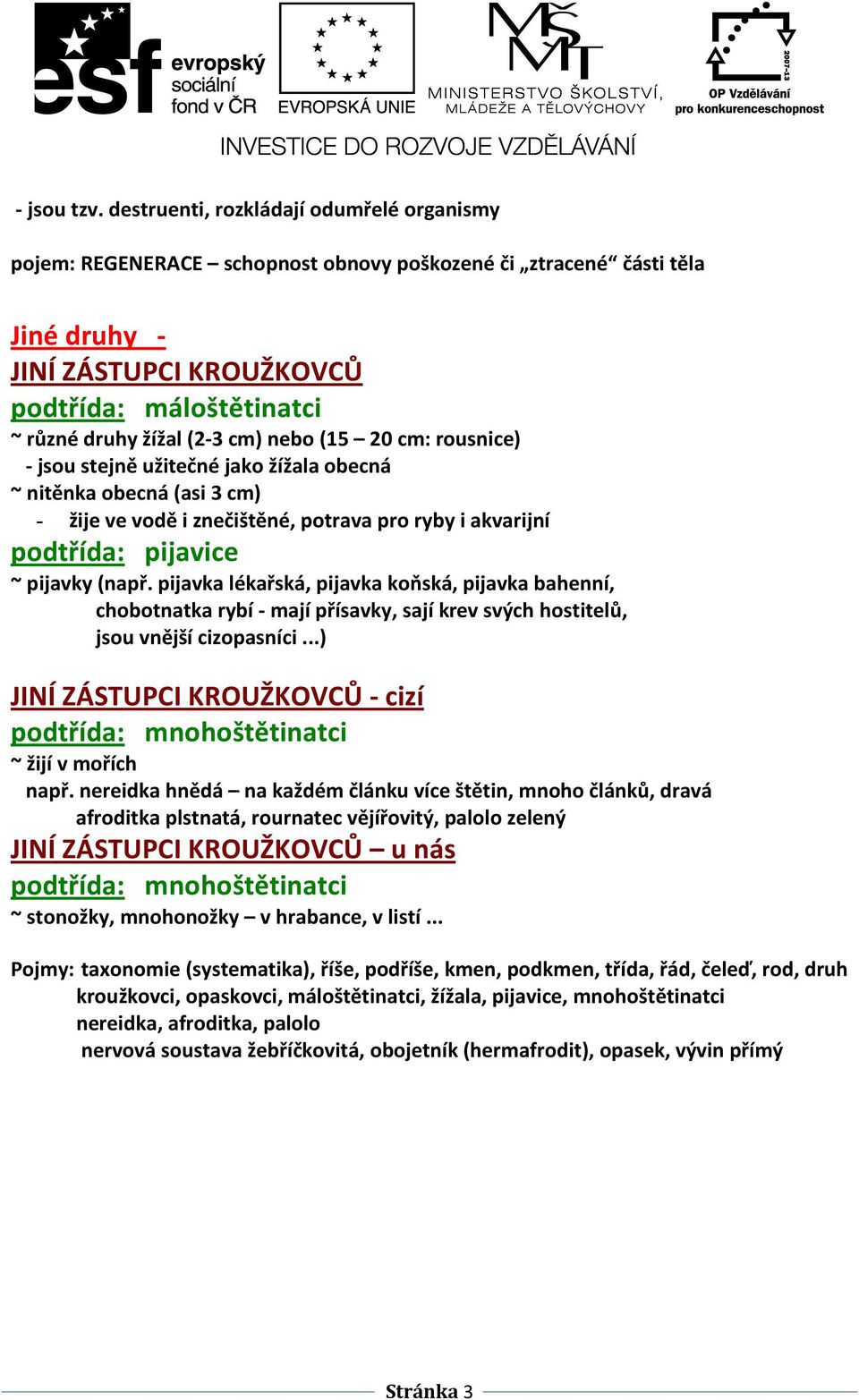 cm) nebo (15 20 cm: rousnice) - jsou stejně užitečné jako žížala obecná ~ nitěnka obecná (asi 3 cm) - žije ve vodě i znečištěné, potrava pro ryby i akvarijní podtřída: pijavice ~ pijavky (např.