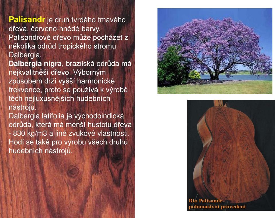 Dalbergia nigra, brazilská odrůda má nejkvalitněší dřevo.