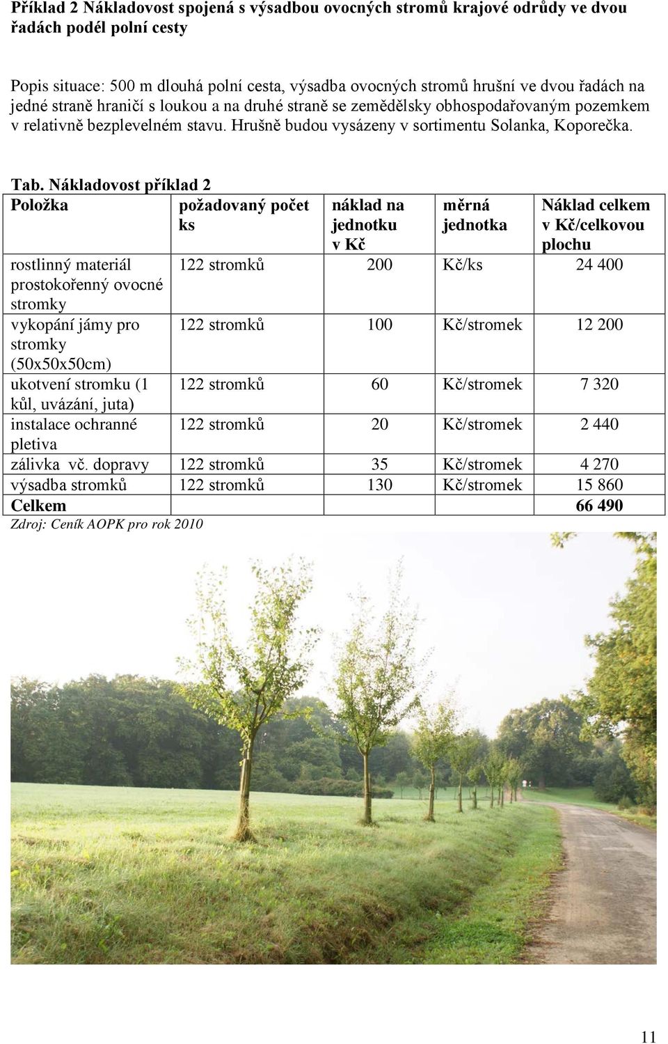 Nákladovost příklad 2 Položka požadovaný počet ks rostlinný materiál prostokořenný ovocné stromky vykopání jámy pro stromky (50x50x50cm) ukotvení stromku (1 kůl, uvázání, juta) instalace ochranné