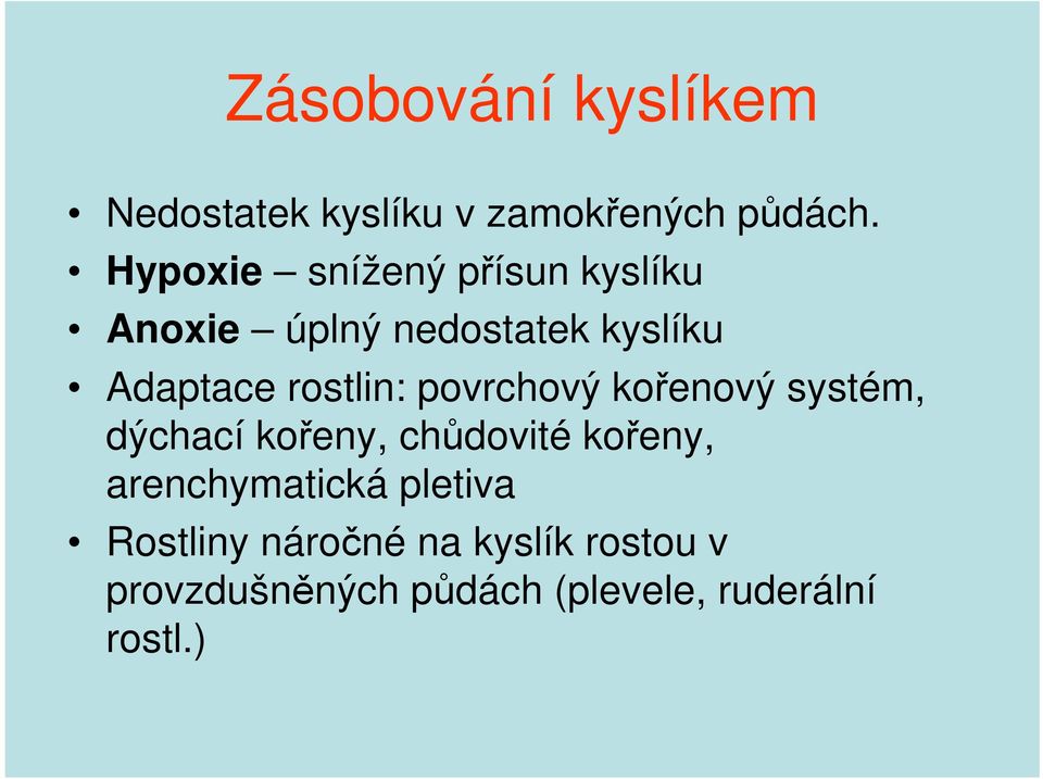 rostlin: povrchový kořenový systém, dýchací kořeny, chůdovité kořeny,