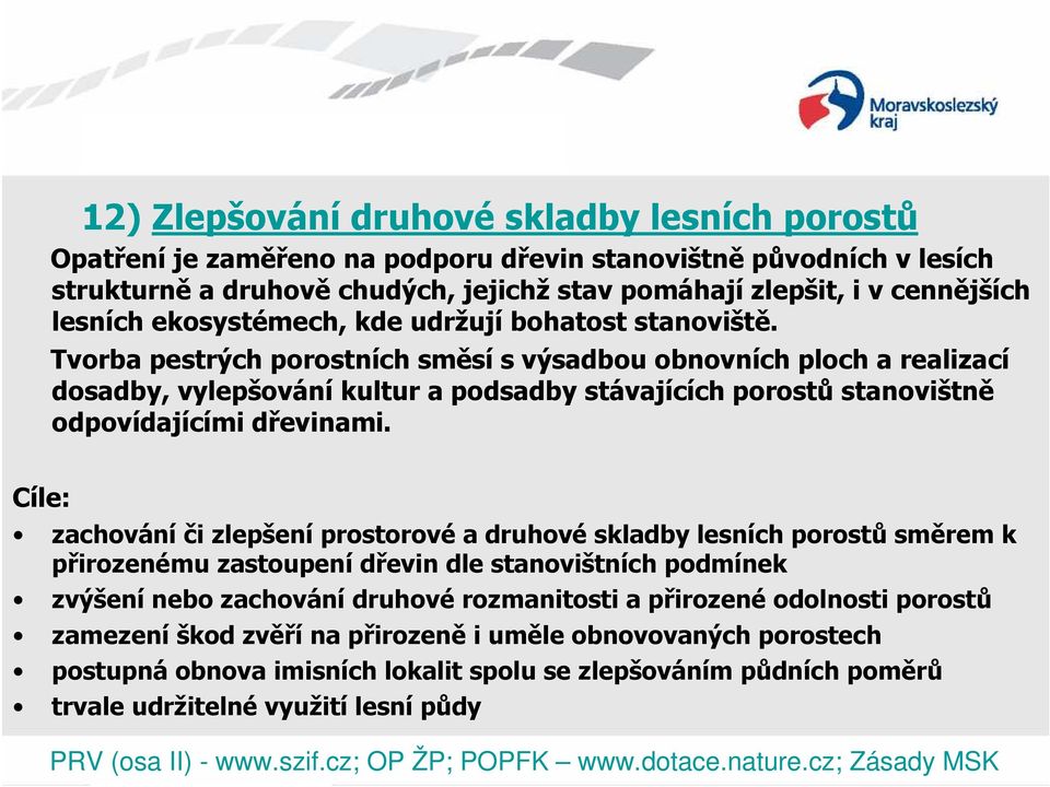 Tvorba pestrých porostních směsí s výsadbou obnovních ploch a realizací dosadby, vylepšování kultur a podsadby stávajících porostů stanovištně odpovídajícími dřevinami.