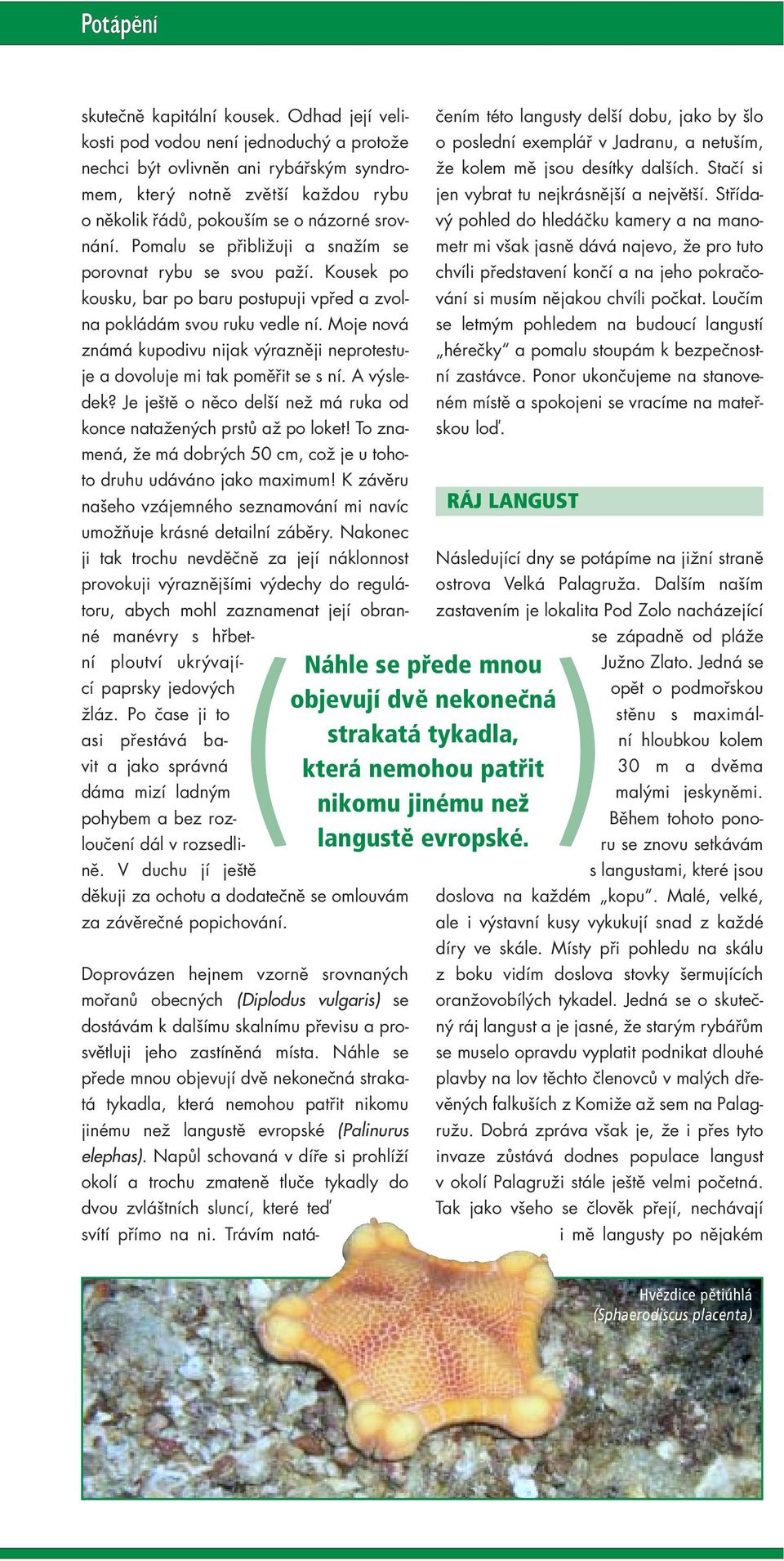 Pomalu se přibližuji a snažím se porovnat rybu se svou paží. Kousek po kousku, bar po baru postupuji vpřed a zvolna pokládám svou ruku vedle ní.