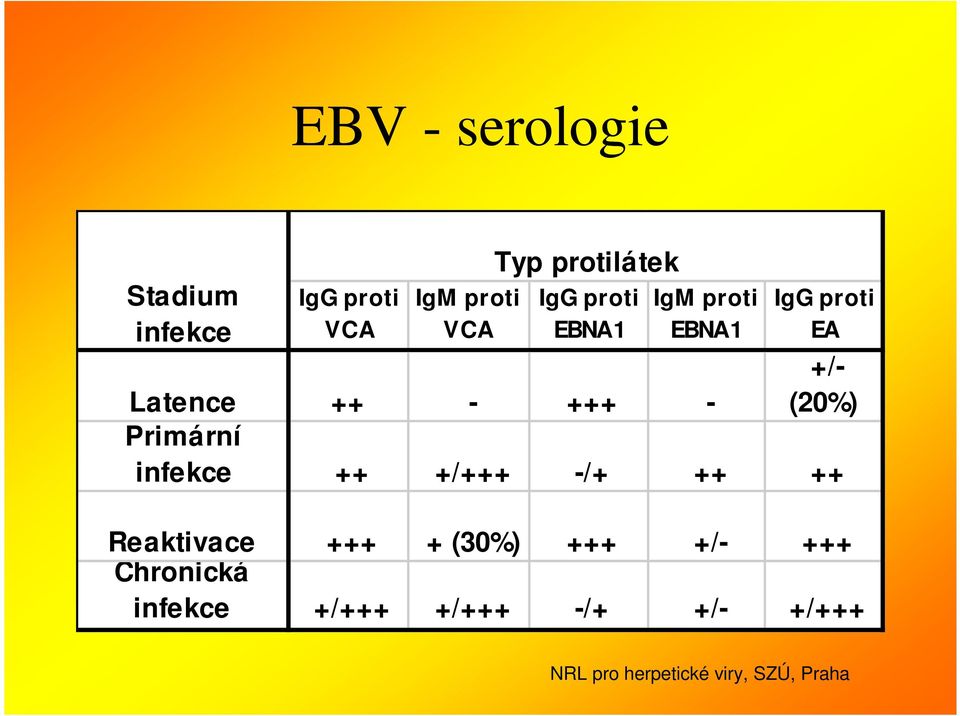 Latence ++ - +++ - Primární infekce ++ +/+++ -/+ ++ ++ Reaktivace