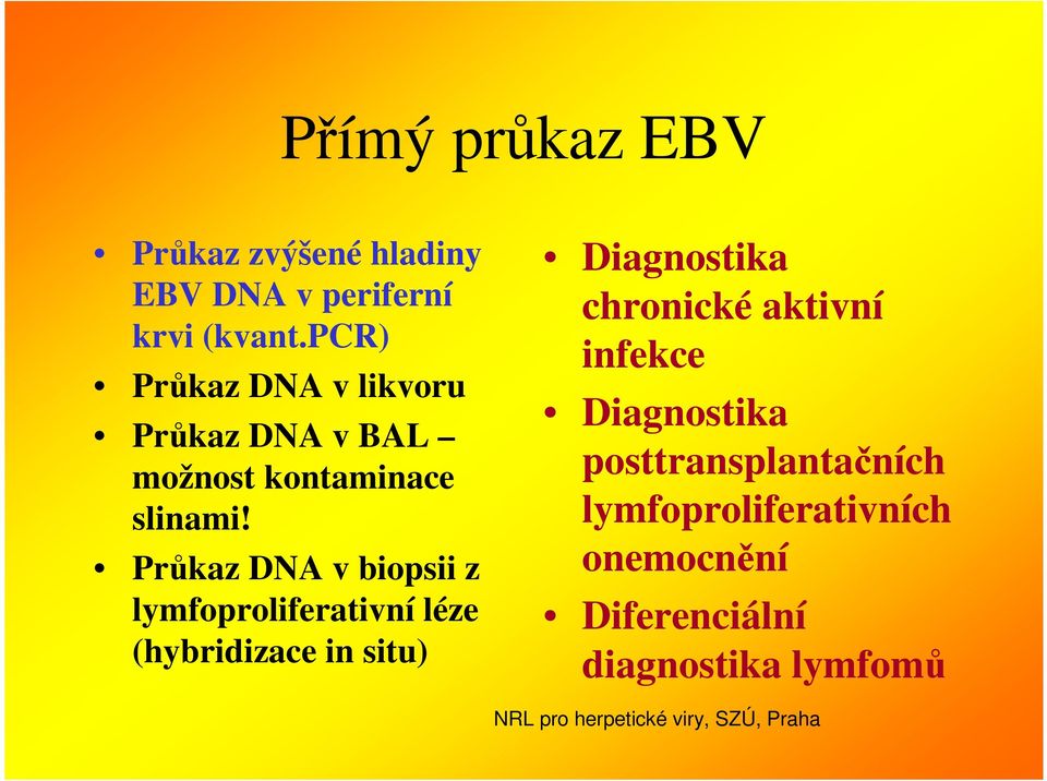 Průkaz DNA v biopsii z lymfoproliferativní léze (hybridizace in situ) Diagnostika