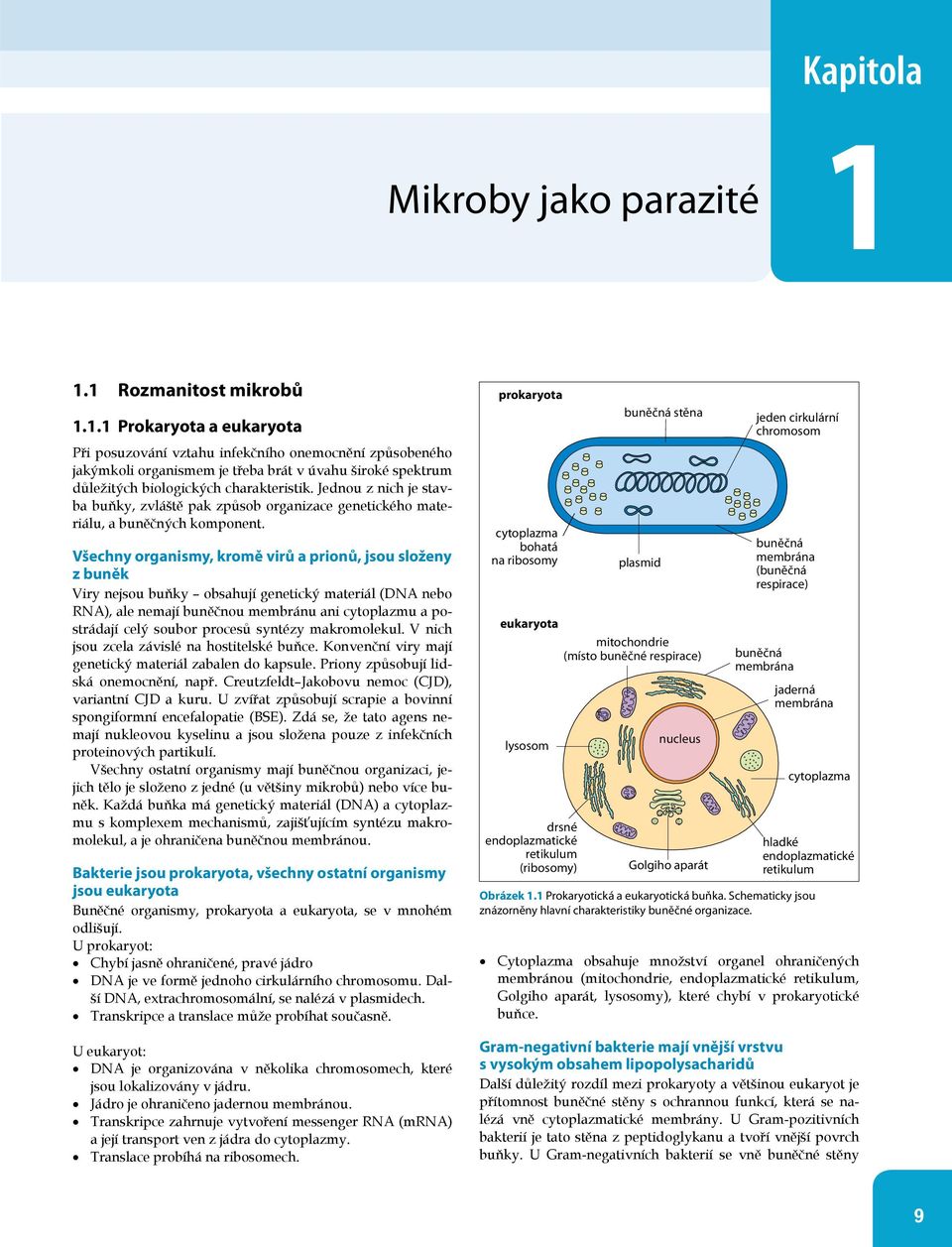 Jednou z nich je stavba buňky, zvláště pak způsob organizace genetického materiálu, a buněčných komponent.