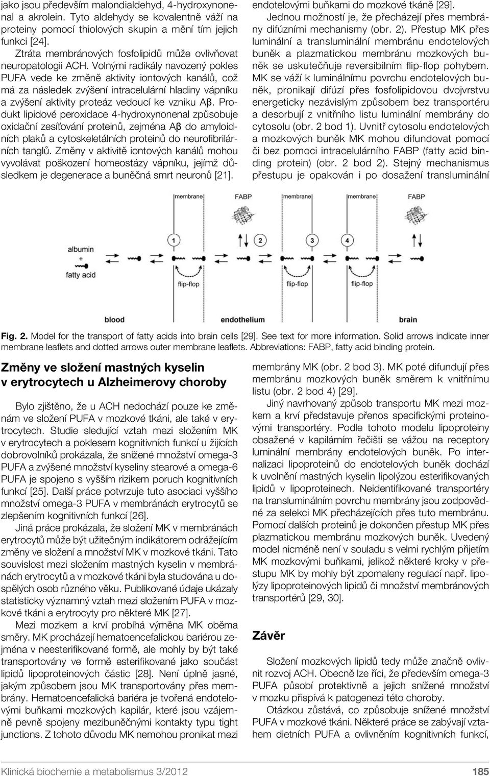 Volnými radikály navozený pokles PUFA vede ke změně aktivity iontových kanálů, což má za následek zvýšení intracelulární hladiny vápníku a zvýšení aktivity proteáz vedoucí ke vzniku Aβ.