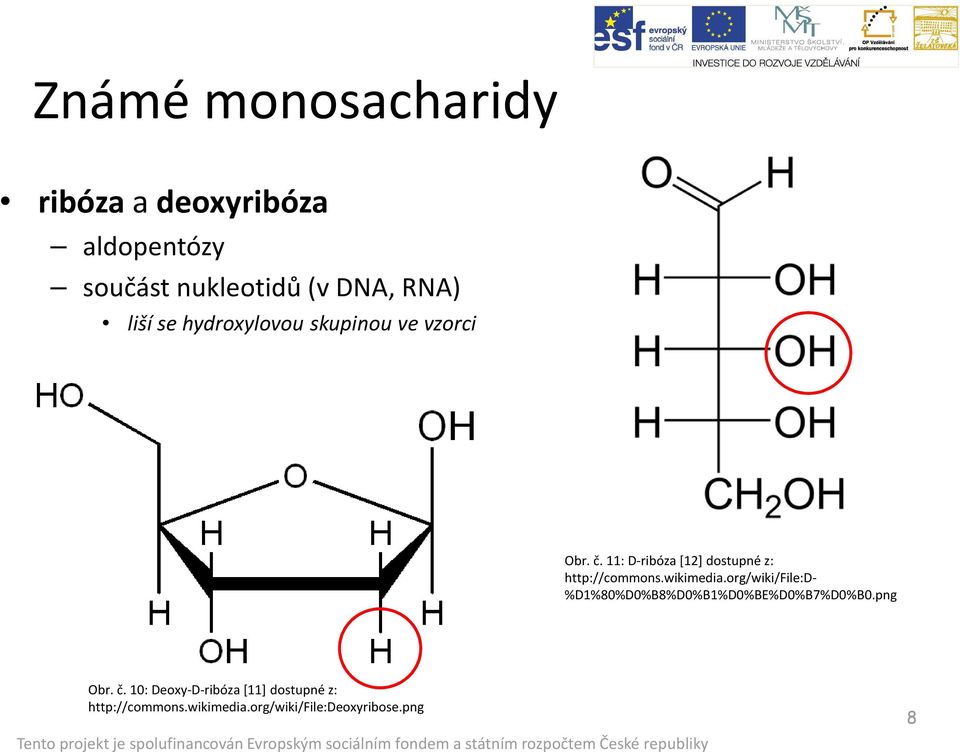 11: D-ribóza [12] dostupné z: http://commons.wikimedia.