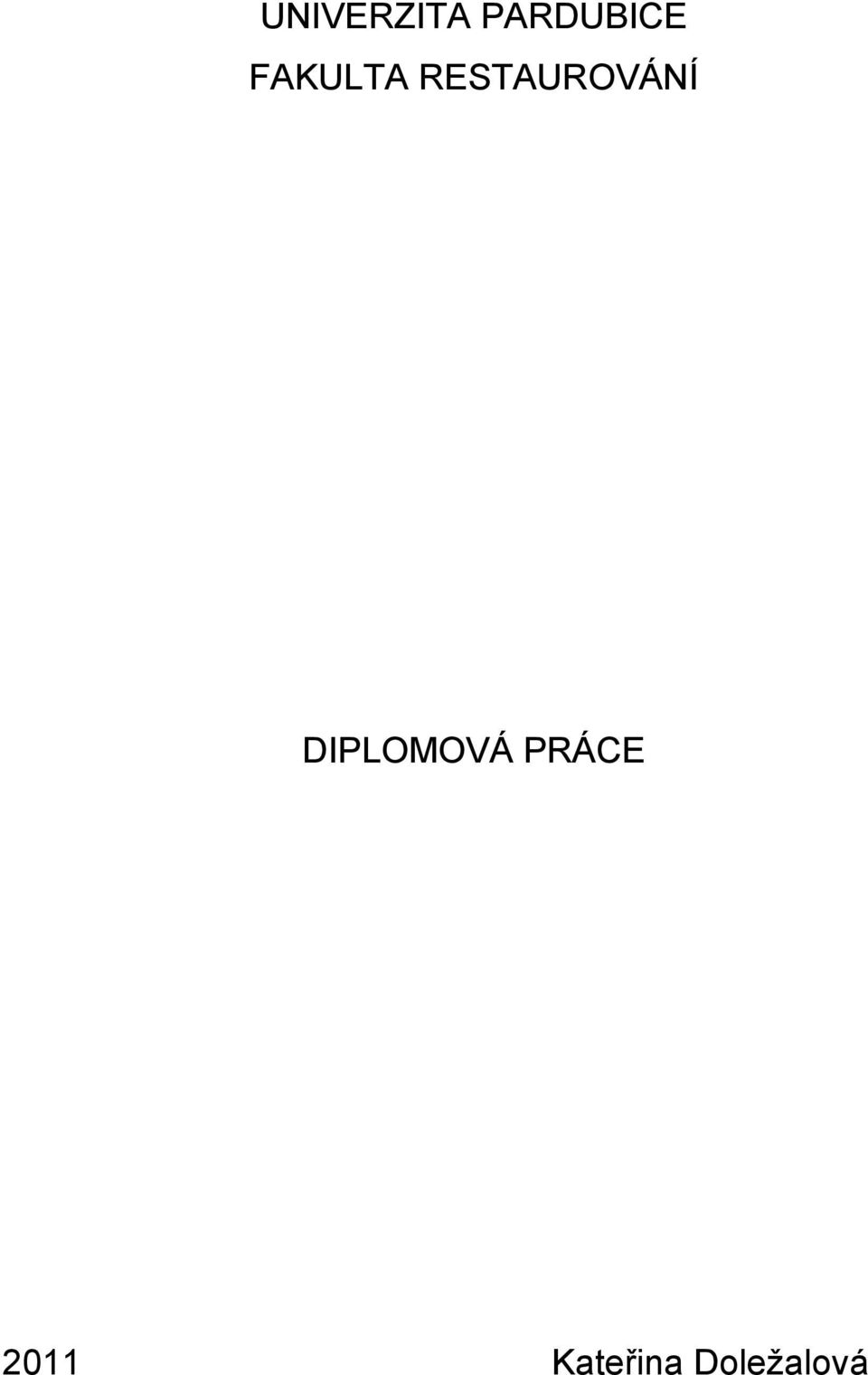 DIPLOMOVÁ PRÁCE 2011