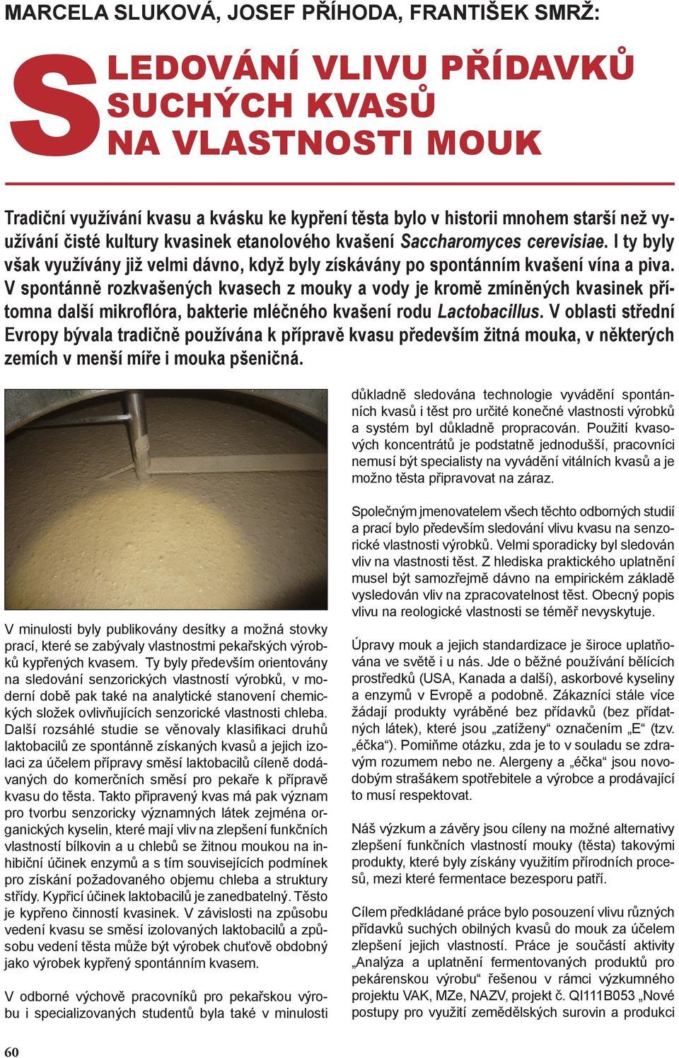 V spontánně rozkvašených kvasech z mouky a vody je kromě zmíněných kvasinek přítomna další mikroflóra, bakterie mléčného kvašení rodu Lactobacillus.