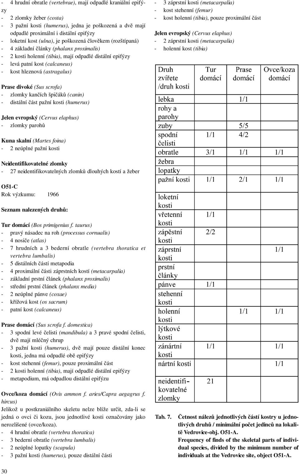 - 3 záprstní kosti (metacarpalia) - kost stehenní (femur) - kost holenní (tibia), pouze proximální část Jelen evropský (Cervus elaphus) - 2 záprstní kosti (metacarpalia) - holenní kost (tibia) Prase