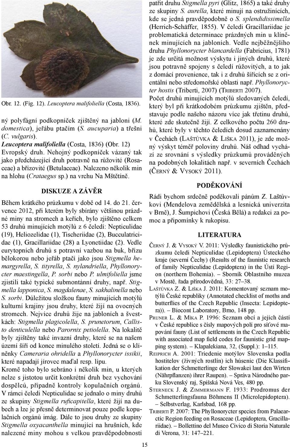 Nalezeno několik min na hlohu (Crataegus sp.) na vrchu Na Mštětíně. DISKUZE A ZÁVĚR Během krátkého průzkumu v době od 14. do 21.