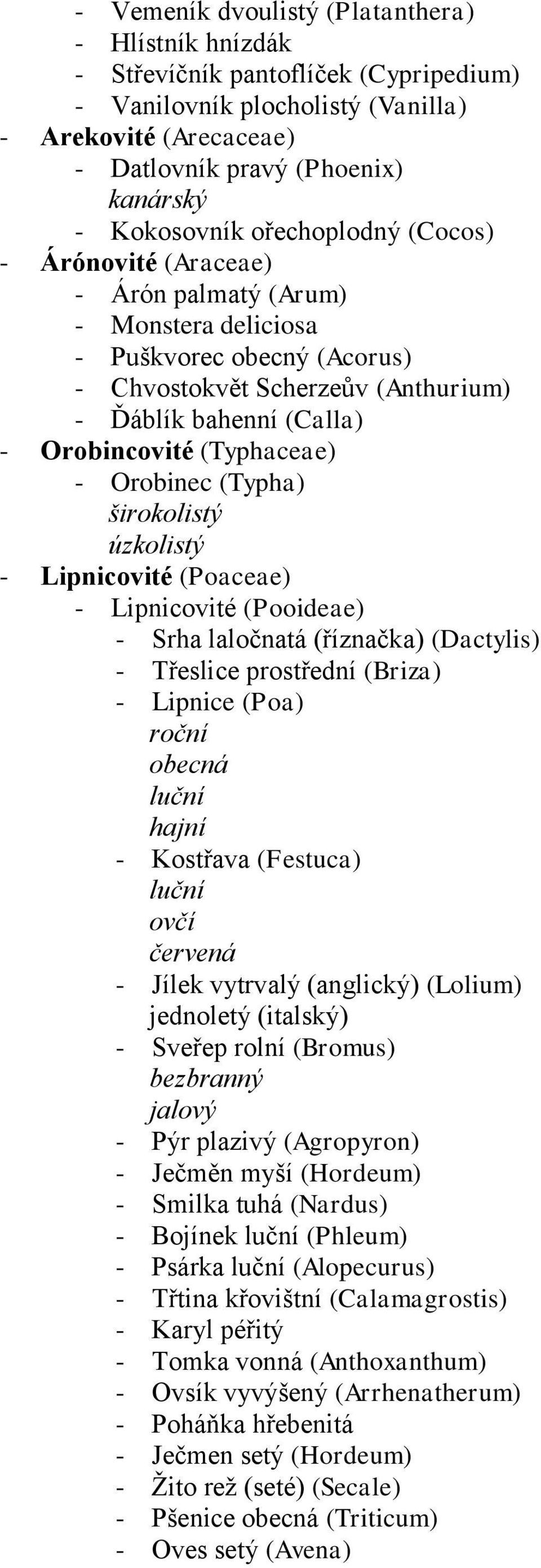 Orobincovité (Typhaceae) - Orobinec (Typha) širokolistý úzkolistý - Lipnicovité (Poaceae) - Lipnicovité (Pooideae) - Srha laločnatá (říznačka) (Dactylis) - Třeslice prostřední (Briza) - Lipnice (Poa)