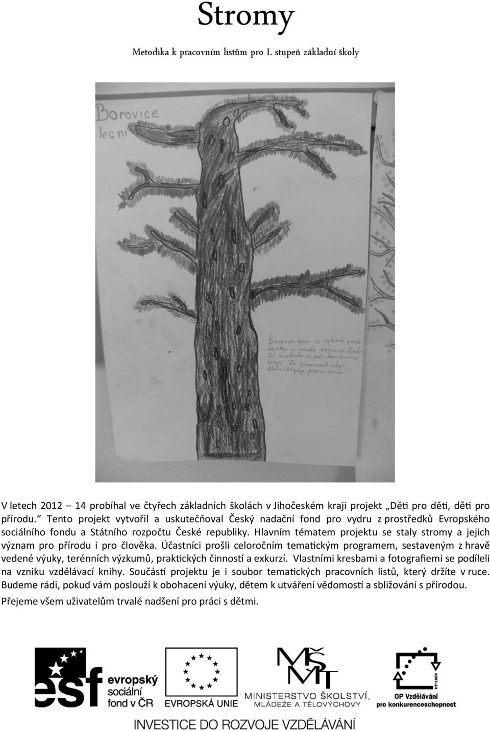 Hlavním tématem projektu se staly stromy a jejich význam pro přírodu i pro člověka.
