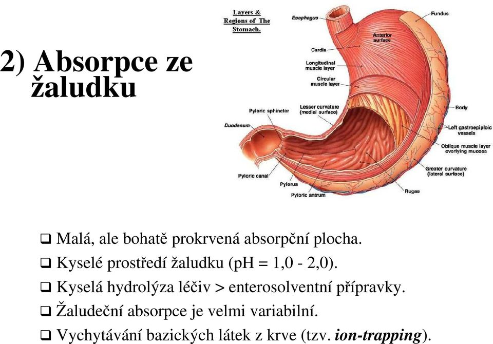 Kyselá hydrolýza léčiv > enterosolventní přípravky.