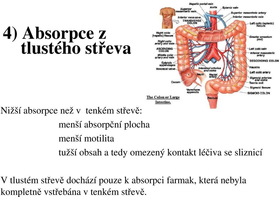 omezený kontakt léčiva se sliznicí V tlustém střevě dochází