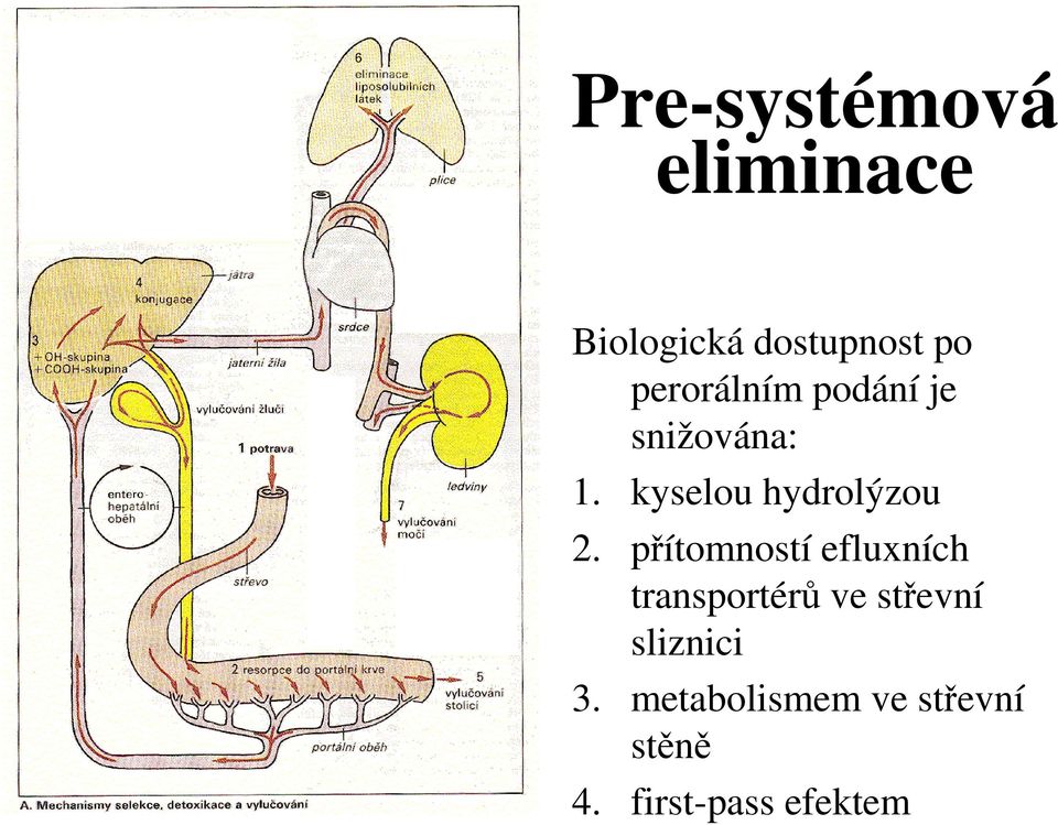 kyselou hydrolýzou 2.