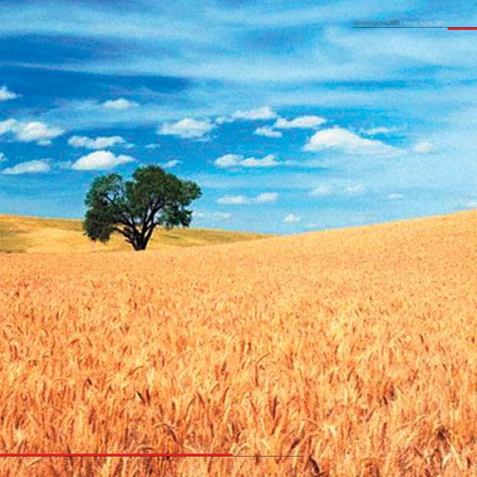 Annual Report