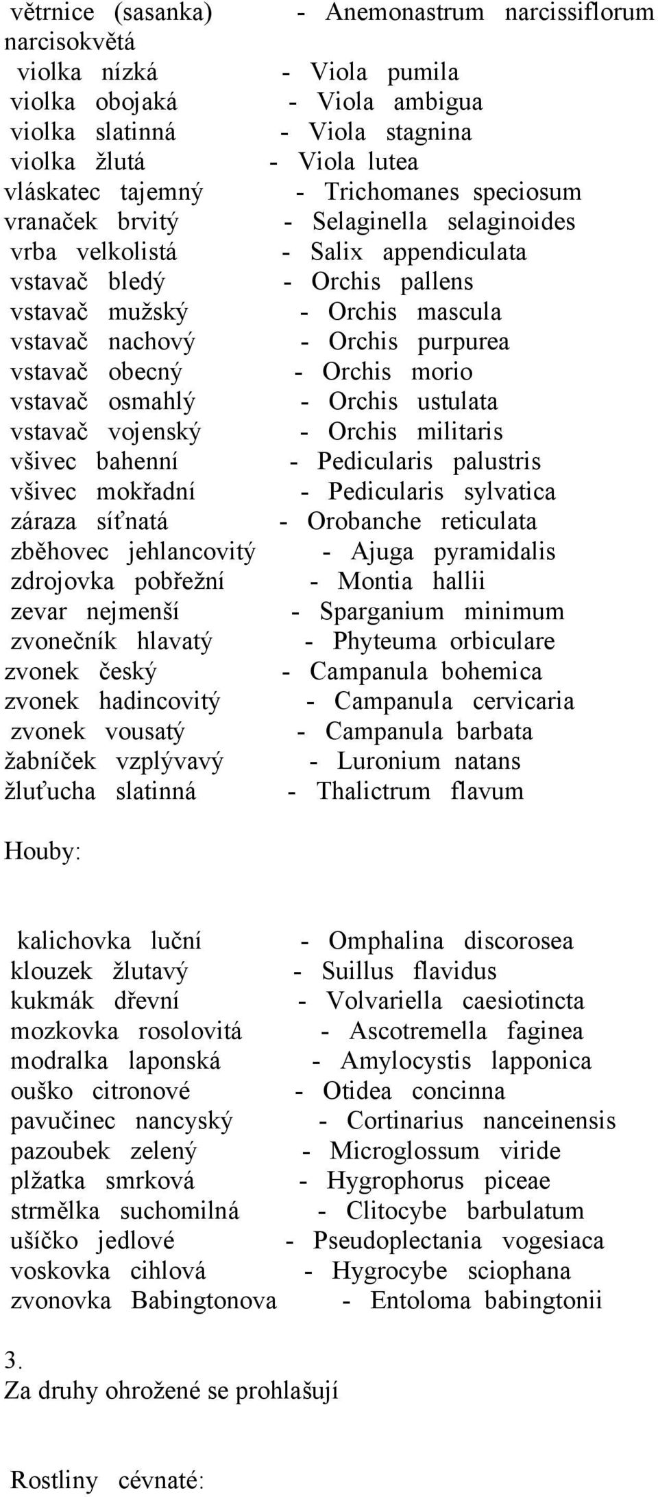 žabníček vzplývavý žluťucha slatinná - Anemonastrum narcissiflorum - Viola pumila - Viola ambigua - Viola stagnina - Viola lutea - Trichomanes speciosum - Selaginella selaginoides - Salix