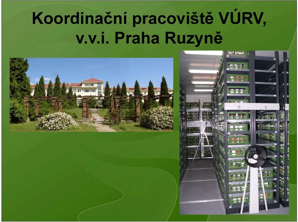 VÚRV, v.v.i.