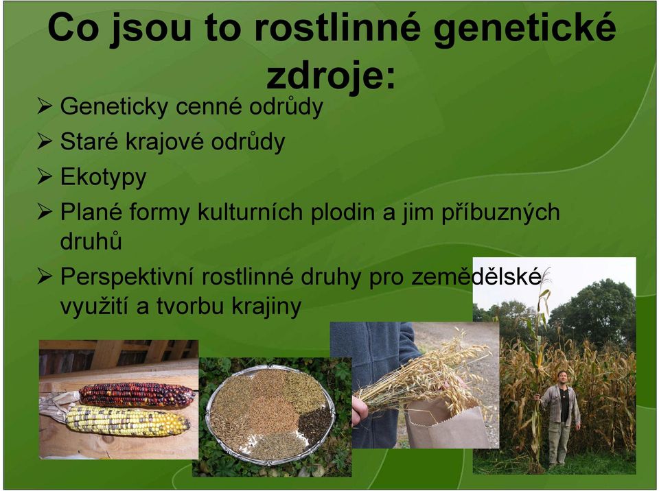 formy kulturních plodin a jim příbuzných druhů