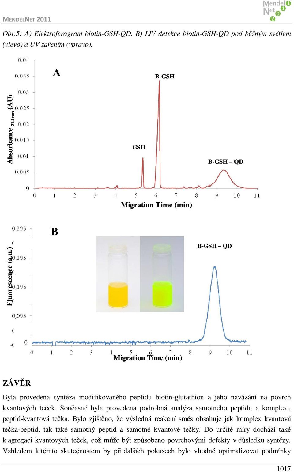 rescence (a.u.) B-GSH QD Migration Time (min) ZÁVĚR Byla provedena syntéza modifikovaného peptidu biotin-glutathion a jeho navázání na povrch kvantových teček.