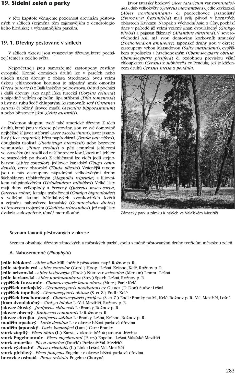 Kromû domácích druhû lze v parcích nebo ulicích nalézt dfieviny z oblasti Stfiedomofií. Svou velmi úzkou jehlancovitou korunou je nápadn smrk omorika (Picea omorica) z Balkánského poloostrova.