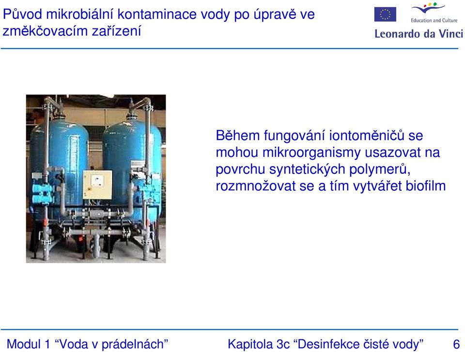 usazovat na povrchu syntetických polymerů, rozmnožovat se a tím