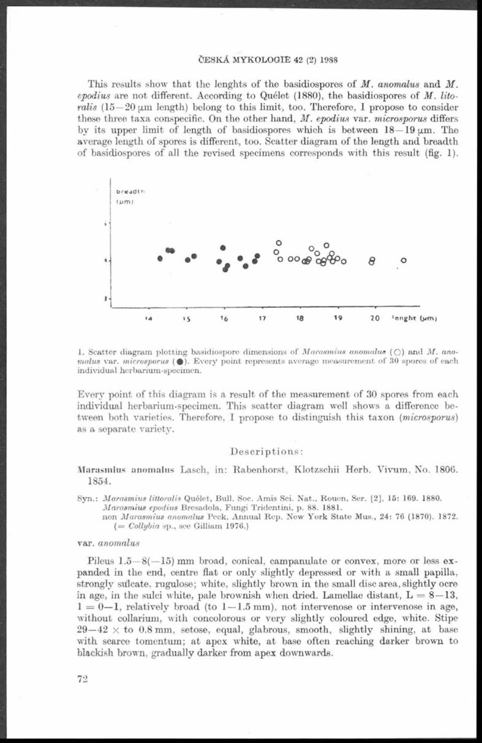 microsporus differs by its upper lim it of length of basidiospores which is between 18 19 i.m. The average length of spores is different, too.