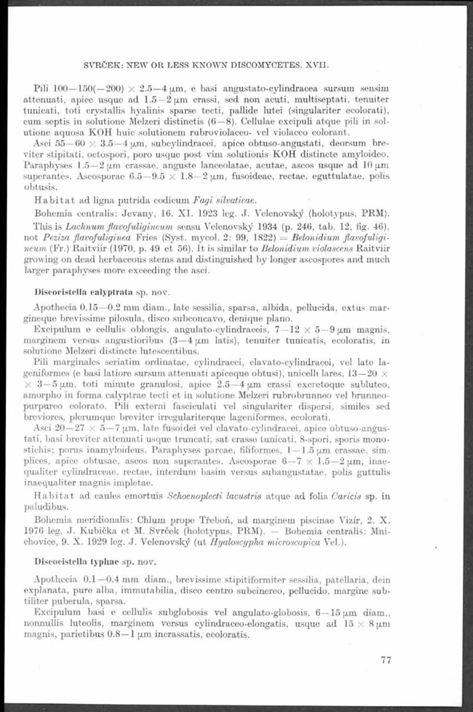 Cellulae excipuli atque pili in solutione aquosa K O H huic solutionem rubroviolaceo- vel violáceo colorant. Asci 55 60 x 3.