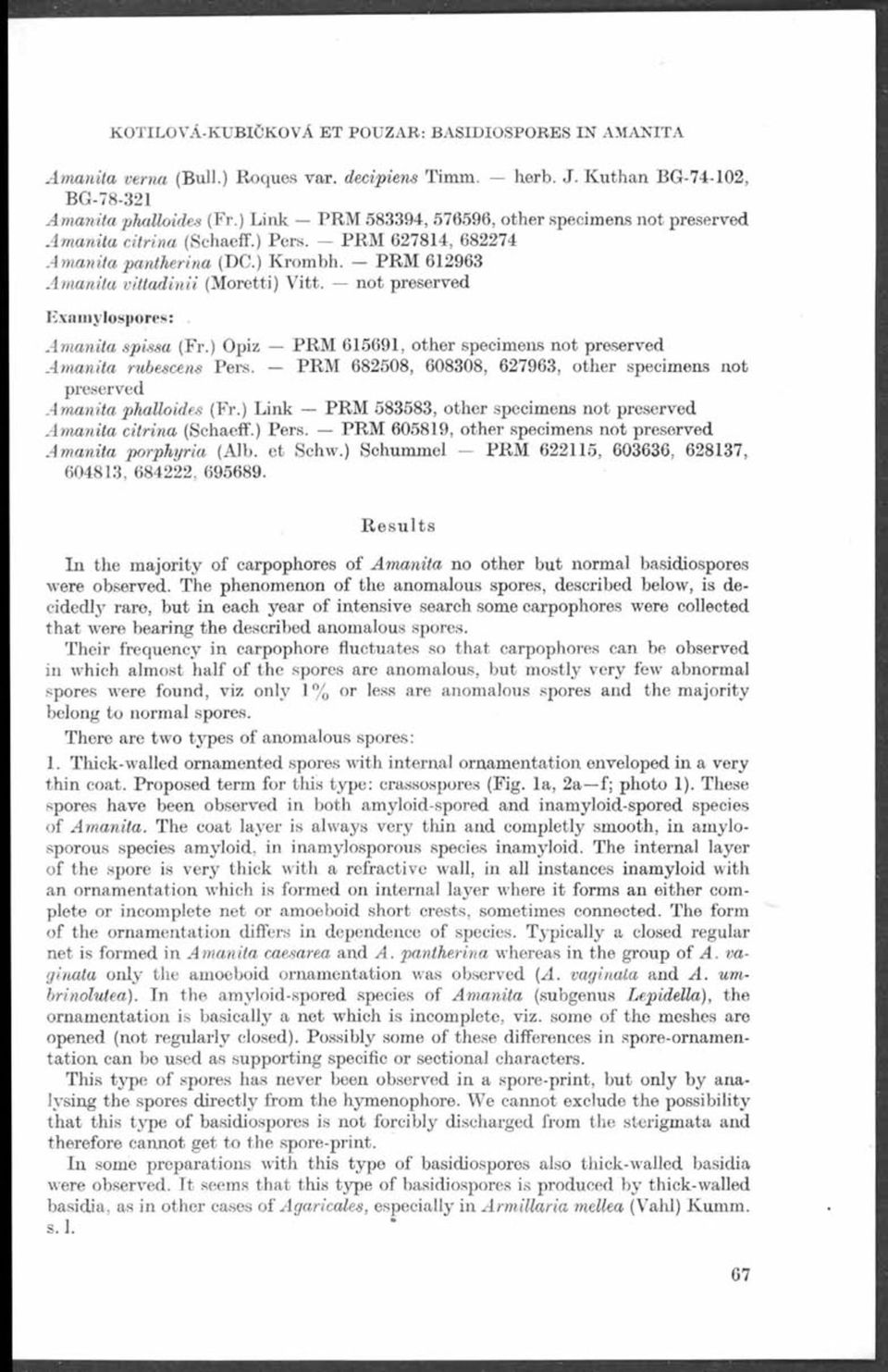 not preserved Examylospores: Am anita spissa (Fr.) Opiz PRM 615691, other specimens not preserved Amanita rube-scens Pers.