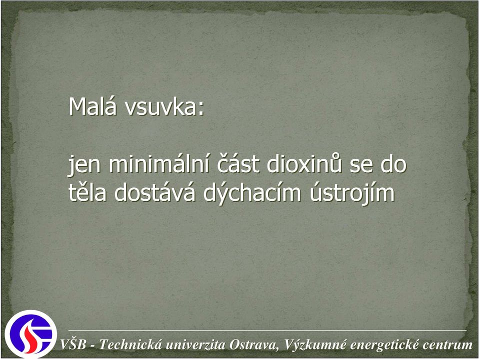 dioxinů se do těla