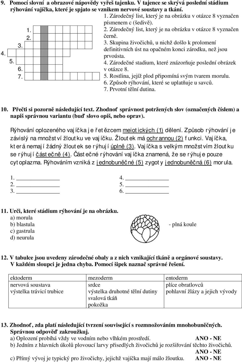 4. Zárodečné stadium, které znázorňuje poslední obrázek v otázce 8. 5. Rostlina, jejíž plod připomíná svým tvarem morulu. 6. Způsob rýhování, které se uplatňuje u savců. 7. Prvotní tělní dutina. 10.