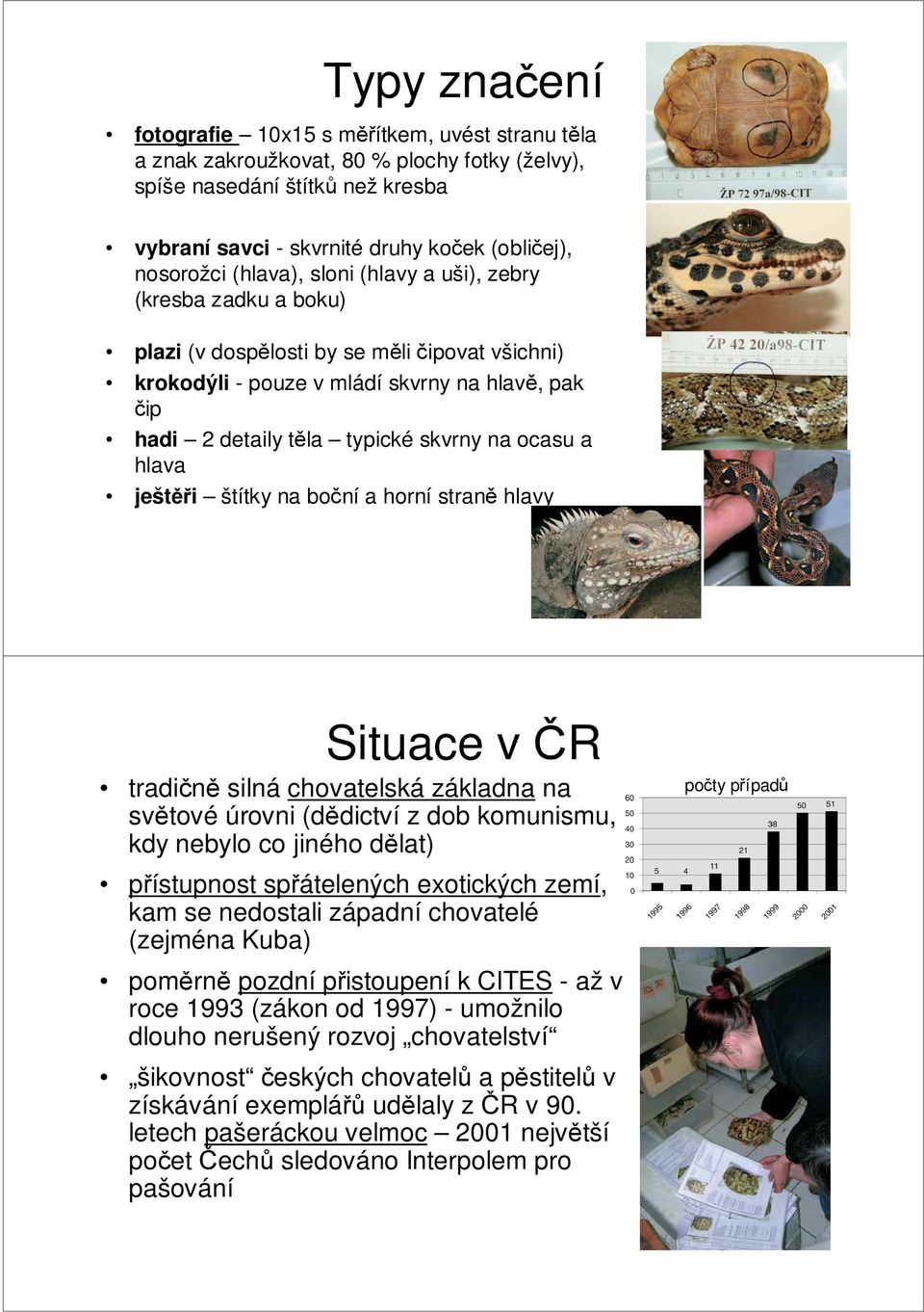ocasu a hlava ještěři štítky na boční a horní straně hlavy Situace v ČR tradičně silná chovatelská základna na světové úrovni (dědictví z dob komunismu, kdy nebylo co jiného dělat) počty případů
