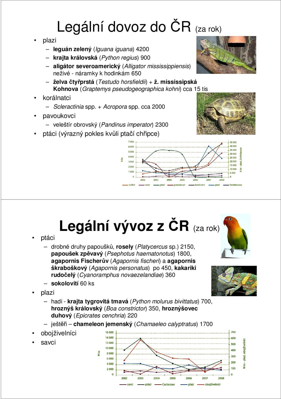 cca 2000 pavoukovci veleštír obrovský (Pandinus imperator) 2300 ptáci (výrazný pokles kvůli ptačí chřipce) ptáci plazi Legální vývoz z ČR (za rok) drobné druhy papoušků, rosely (Platycercus sp.